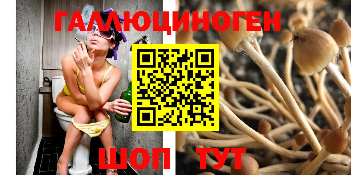 Жуковский  Псилоцибиновые грибы Psilocybe  Галлюциногенные грибы GOLDEN TEACHER  Вход с VPN 