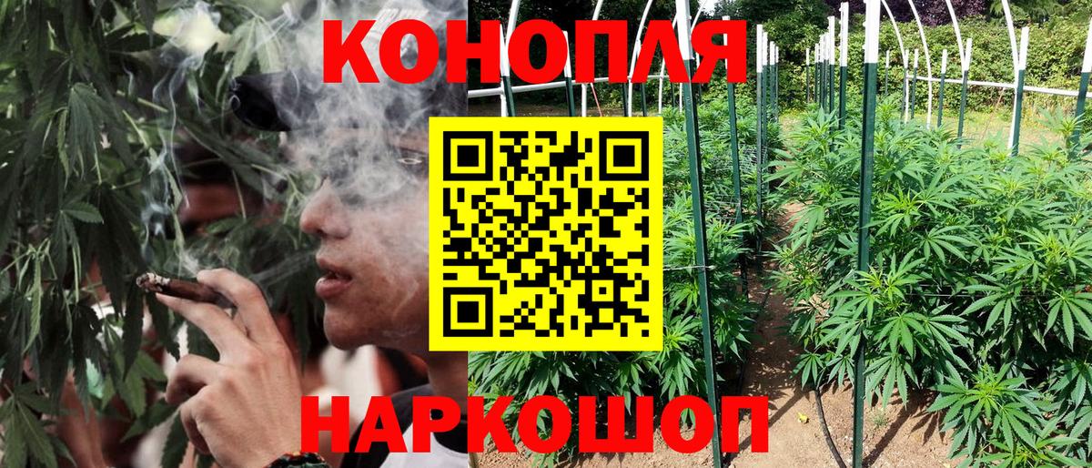 Бошки марихуана Amnesia  Шишки марихуана конопля  Канабис гибрид  Жуковский  Вход с VPN  Бошки Шишки White Widow 
